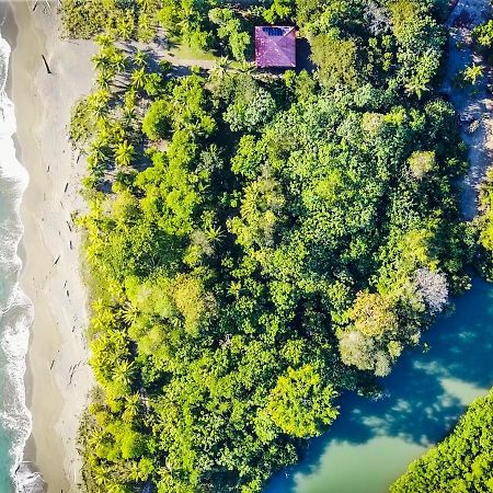 Punta Preciosa Panzió Puerto Jiménez Kültér fotó