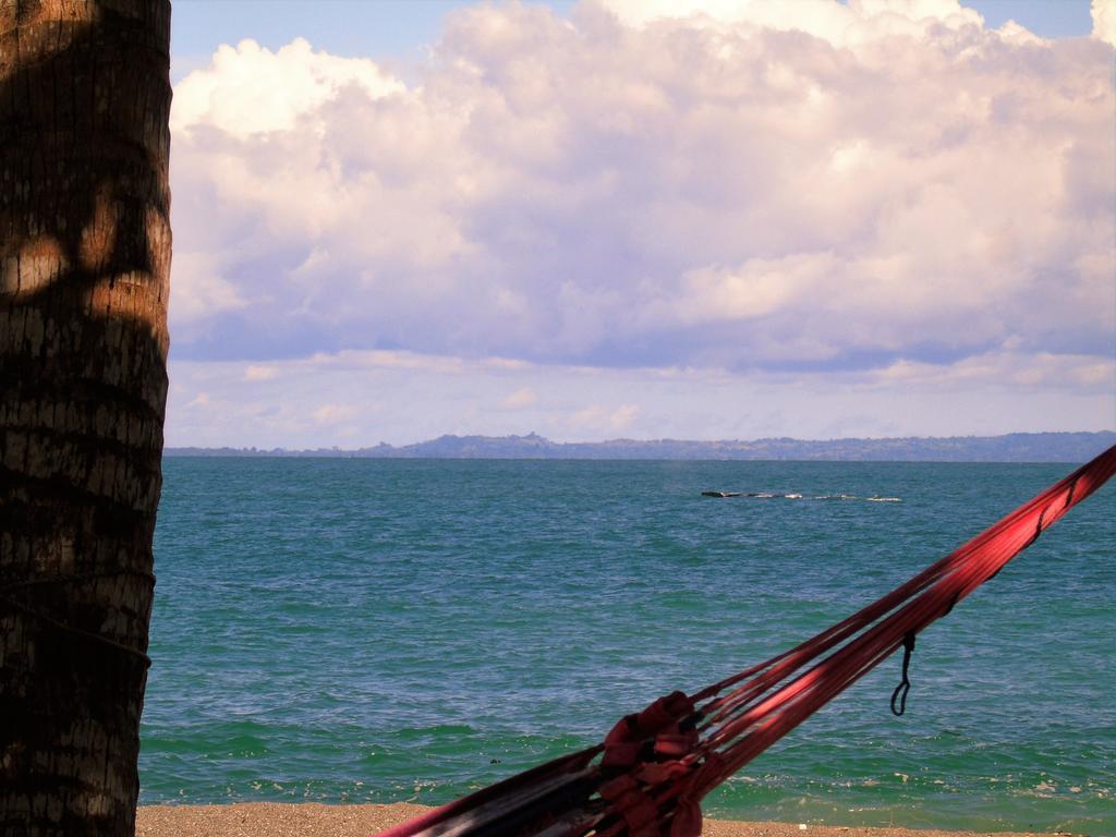 Punta Preciosa Panzió Puerto Jiménez Kültér fotó