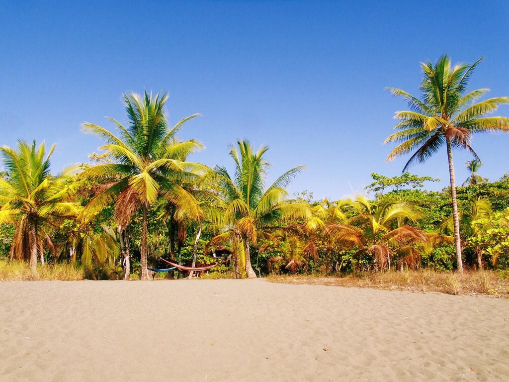 Punta Preciosa Panzió Puerto Jiménez Kültér fotó
