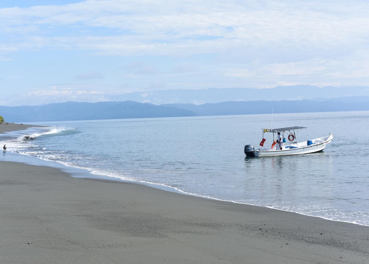 Punta Preciosa Panzió Puerto Jiménez Kültér fotó