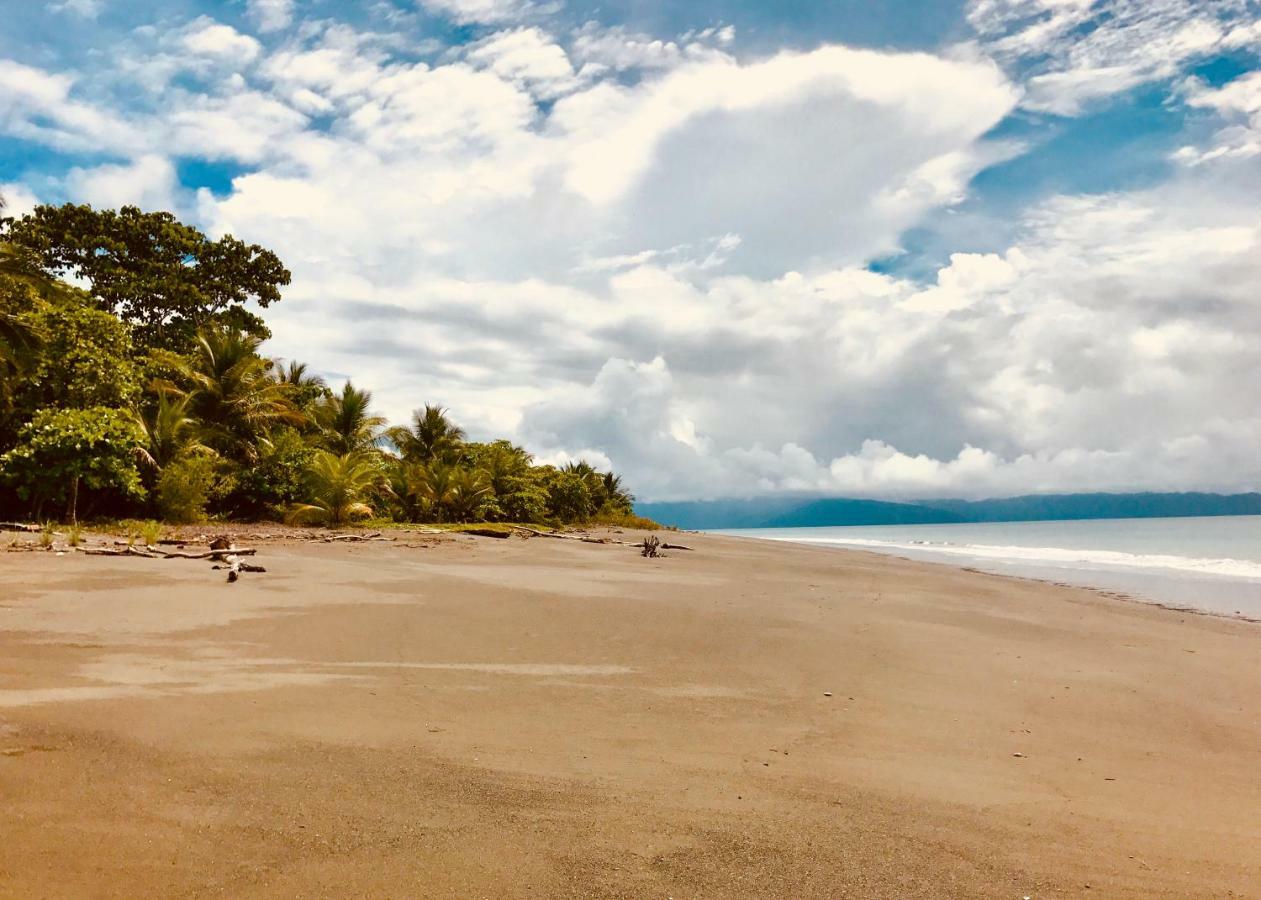 Punta Preciosa Panzió Puerto Jiménez Kültér fotó
